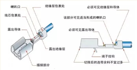 低壓線束端子部位圖